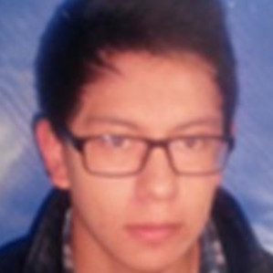 Erick Merino Castillo