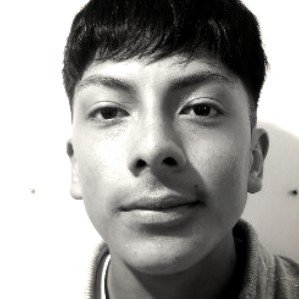 CRISTIAN PAUL BUENO SAYAY