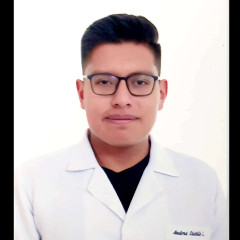 ANDRÉS SEBASTIAN CASTILLO LOZANO