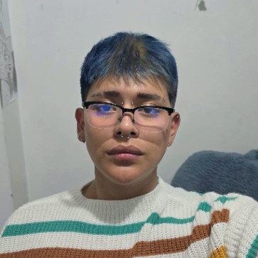Daniel Alejandro Palomino Andrade