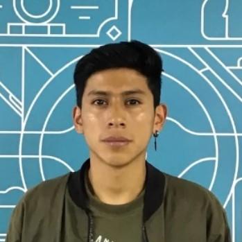 Steven David Ronquillo Oña