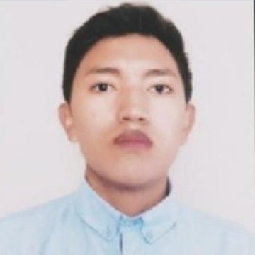 WILMER WLADIMIR PICHUCHO YÁNEZ