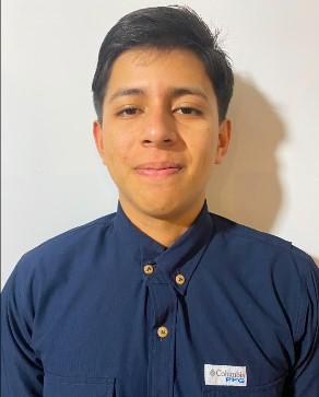 LUIS DAVID FLORES VICTORES