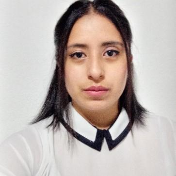 Lisbeth Anahi Salvatierra Mir